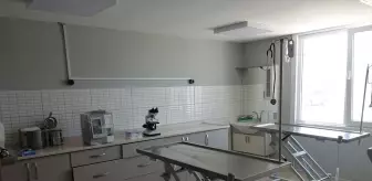 Balıkesir'de Sahipsiz Hayvan Rehabilitasyon Merkezi Yenilendi