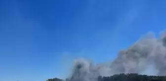 Balıkesir'de Yumurtacı Tesiste Yangın Çıktı