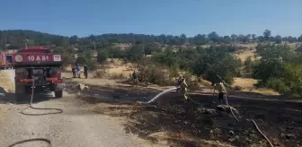 Balıkesir'in Burhaniye ilçesinde yangın kontrol altına alındı