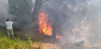 Balıkesir'de Orman Yangını Kontrol Altına Alındı