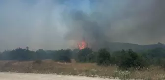 İvrindi'de Orman Yangını Kontrol Altına Alındı