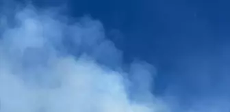 Balıkesir'de Arazi Yangını Kontrol Altına Alındı