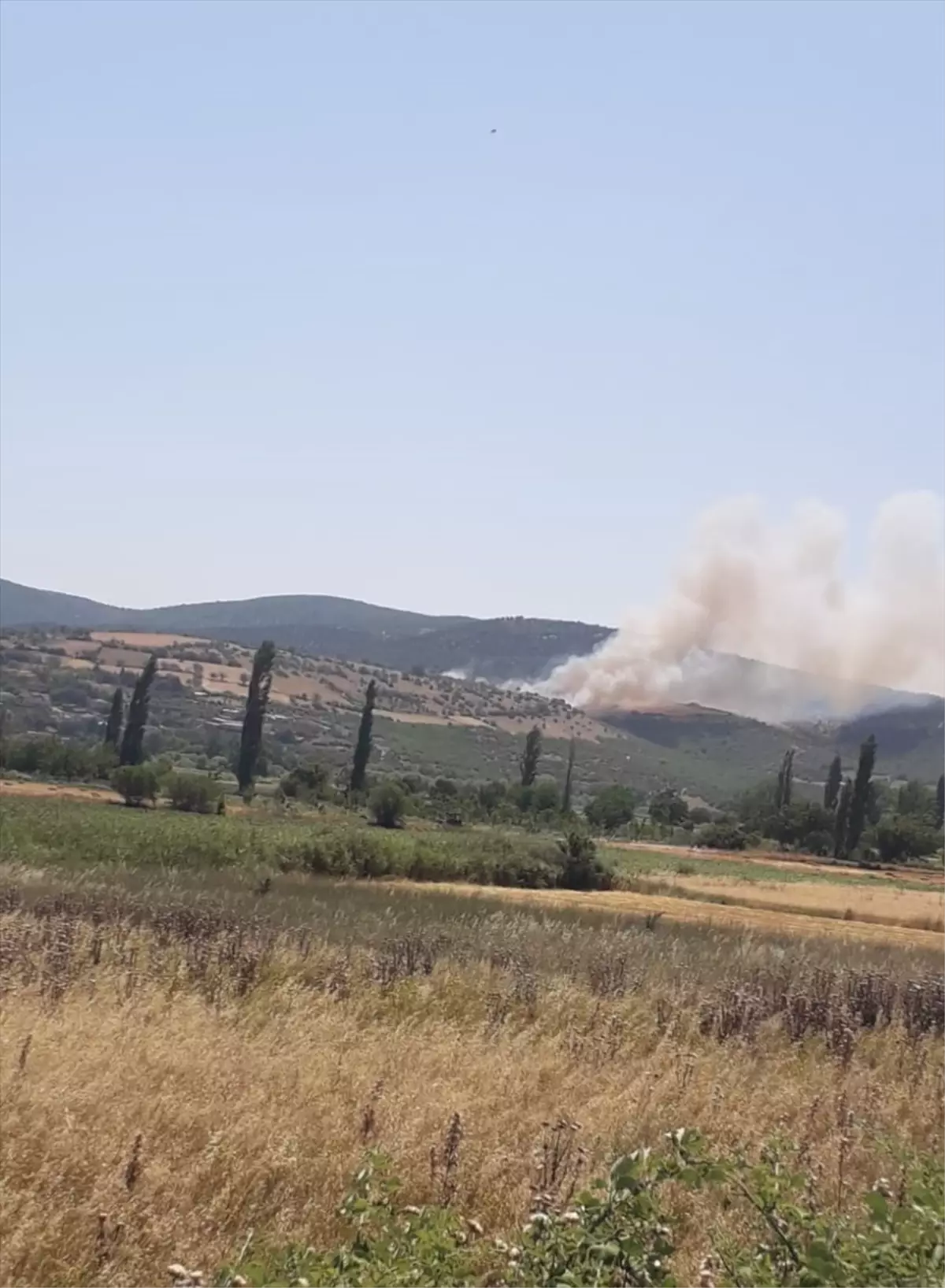 Balıkesir'de Orman Yangınına Havadan ve Karadan Müdahale