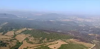 Balıkesir'de İki Orman Yangını Kontrol Altına Alındı