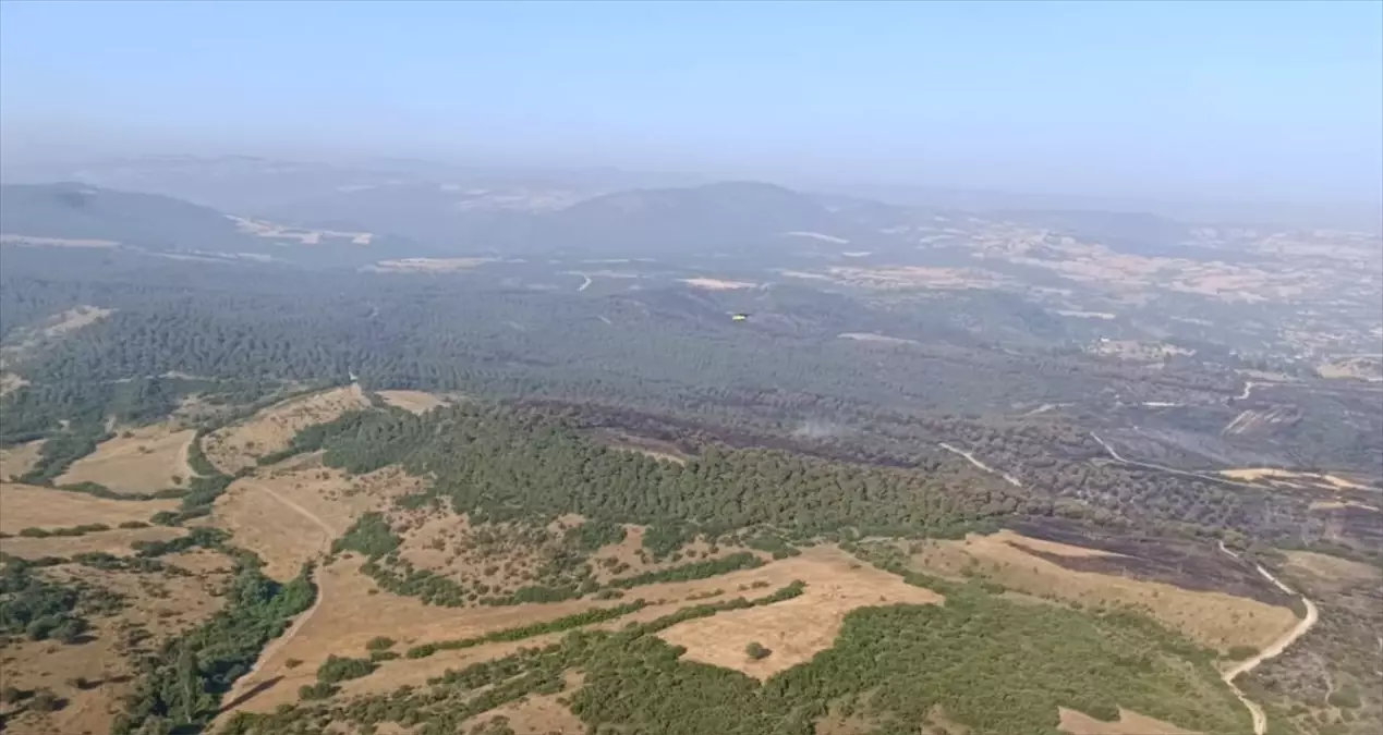 Balıkesir'de İki Orman Yangını Kontrol Altına Alındı