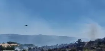Balıkesir'de Orman Yangını: Söndürme Çalışmaları Devam Ediyor