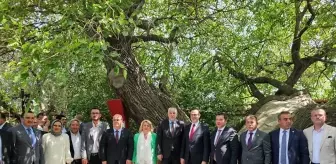 Balkan fatihi Murat Hüdavendigar, şehadetinin 636. yılında Kosova'da anıldı