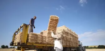 Aşırı Sıcakta Zor Şartlar: Trakya'da Balya İşçileri Çalışıyor