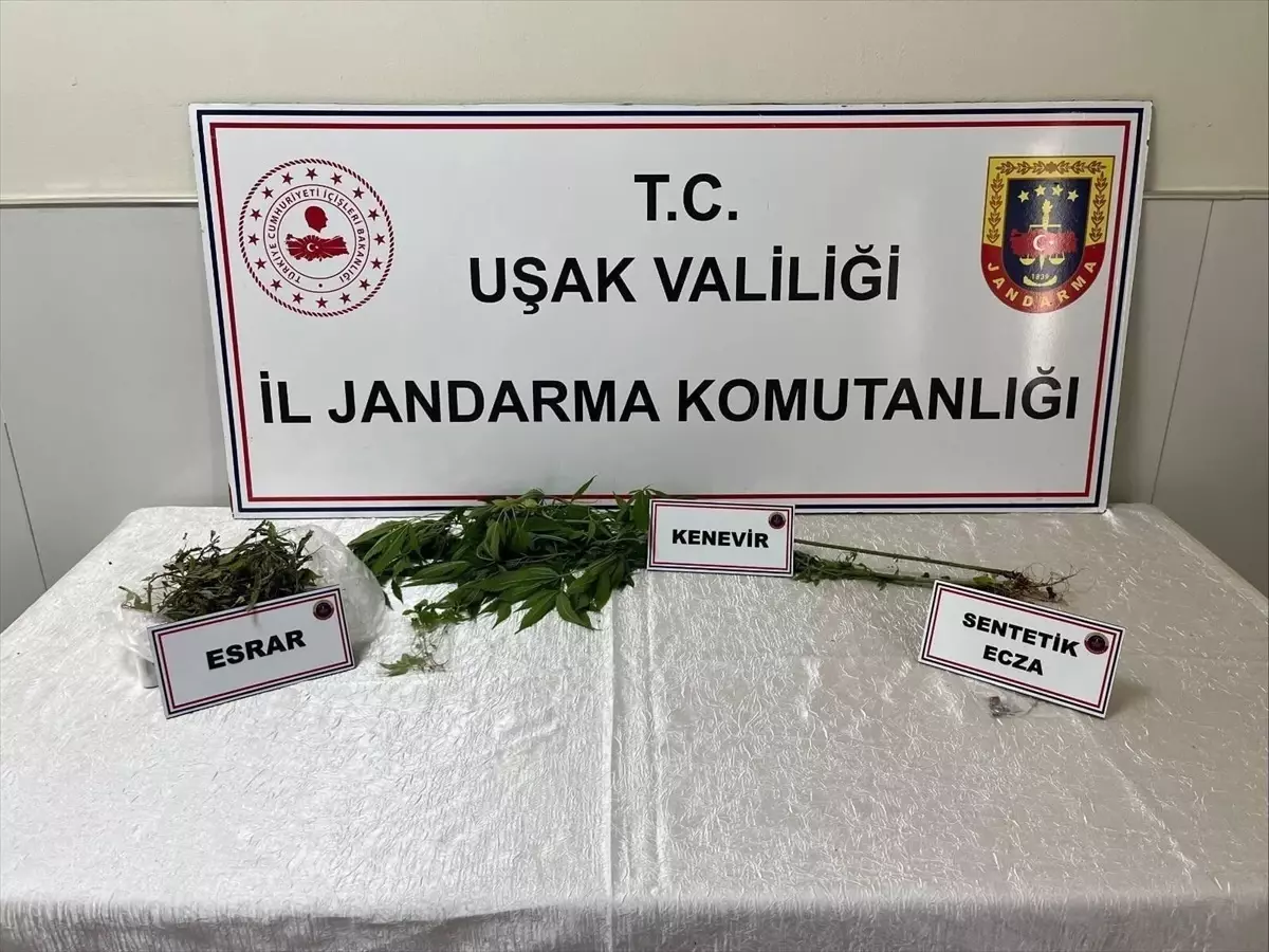 Uşak'ta Uyuşturucu Operasyonu: 1 Gözaltı