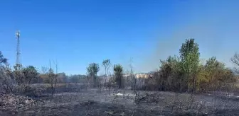 Bartın'daki Yangına Müdahale Devam Ediyor