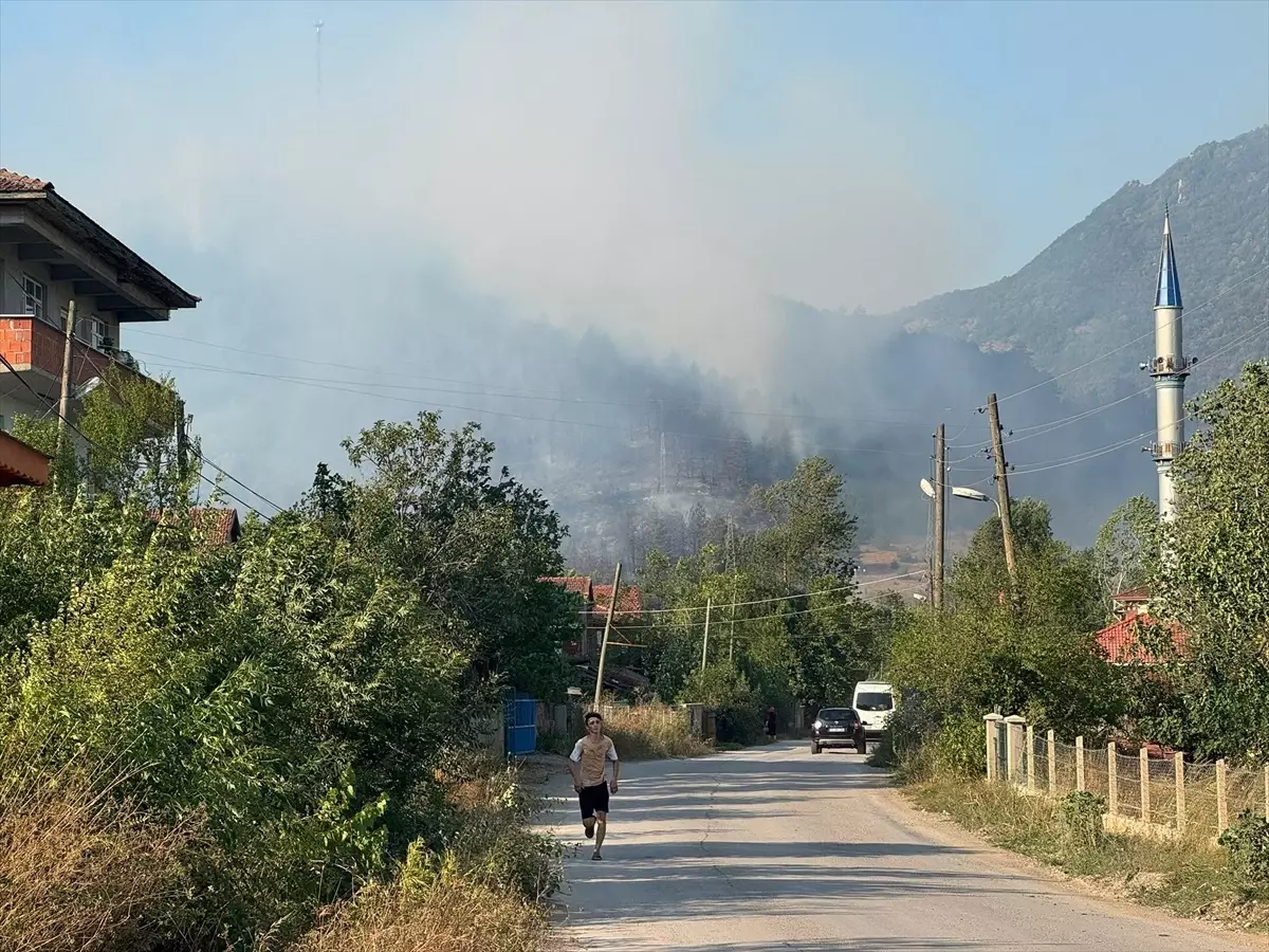 Bartın'da Orman Yangınına Mücadele Devam Ediyor
