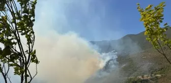 Bartın'da Orman Yangınına Hızla Müdahale Ediliyor