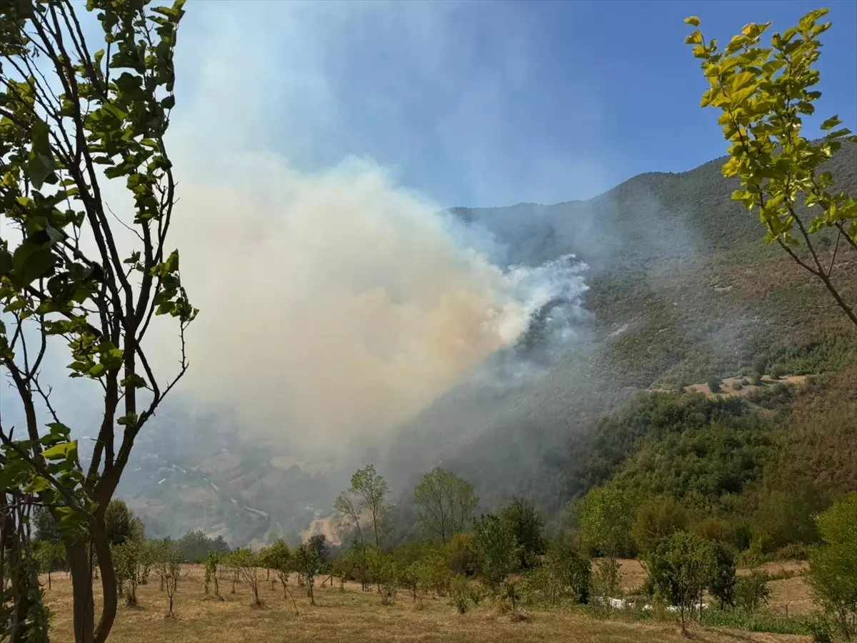 Bartın'da Orman Yangınına Hızla Müdahale Ediliyor