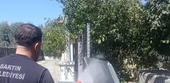 Bartın'da Sivrisinek Mücadelesi ve İnkumu'nda Yeni Kafe
