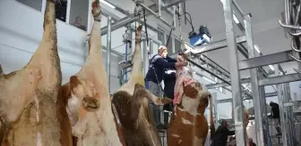 Başçiftlik'te Modern Mezbahada Kurban Kesim Hizmeti