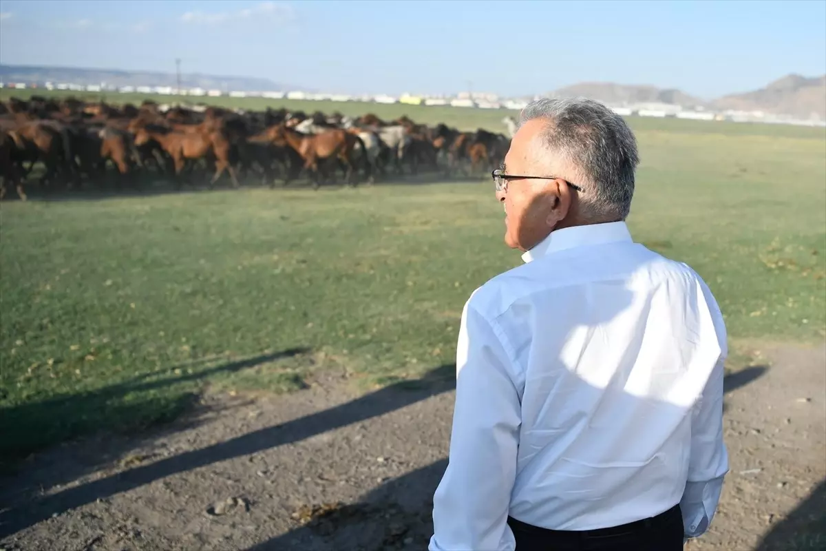 Kayseri'deki Hürmetçi Sazlığı, Ekoturizm İçin Önemli Bir Merkez Olacak