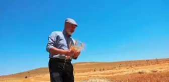 Kocasinan'da 'Köyümde Hayat Var' Projesi ile Genç Çiftçilere Destek