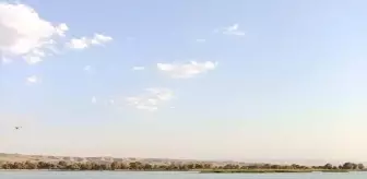 Batman Çayı'ndan 250 Metre Hayalet Ağ Çıkarıldı