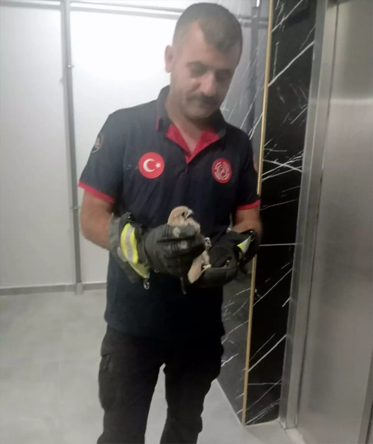Batman'da Balkon Korkuluğuna Sıkışan Atmaca Kurtarıldı