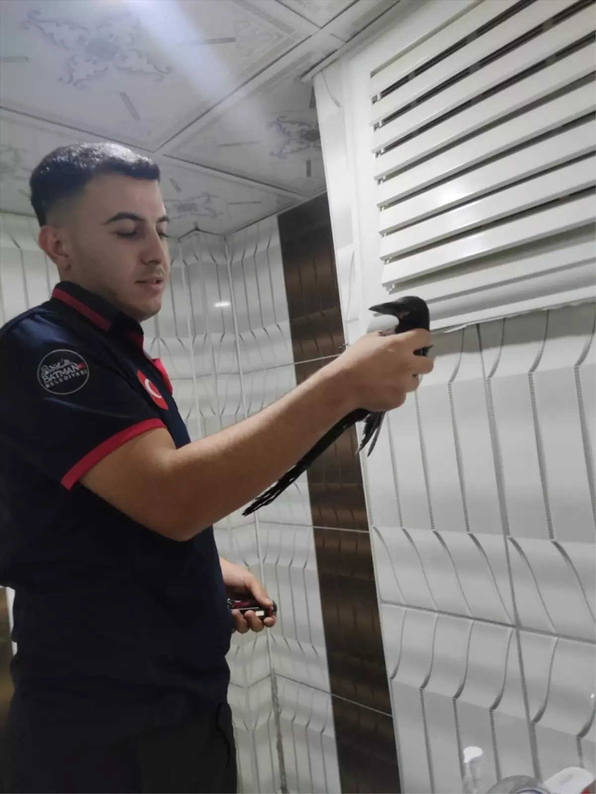 Batman'da Mahsur Kalan Karga İtfaiye Ekipleri Tarafından Kurtarıldı