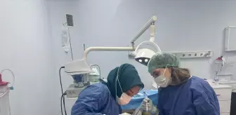 Batman'da Kist Ameliyatı ile Sağlığına Kavuşan Genç Hasta