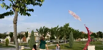 Türk Kızılay, 157. Yıl Dönümünü Uçurtma Şenliğiyle Kutladı