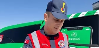 Batman'da Yaralı Peçeli Baykuş Tedavi Altına Alındı