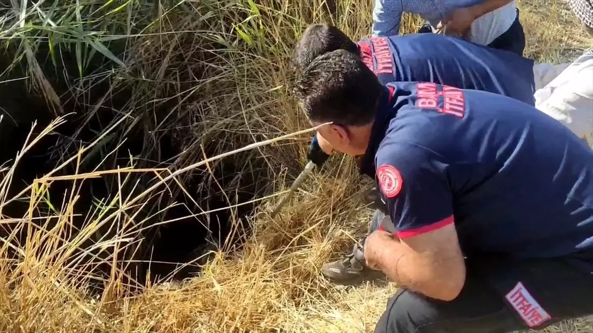 Batman'da Su Kuyusuna Düşen Keçi İtfaiye Ekiplerince Kurtarıldı