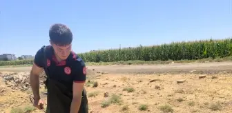 Batman'da Sulama Kanalına Düşen Köpek Yavrusu Kurtarıldı
