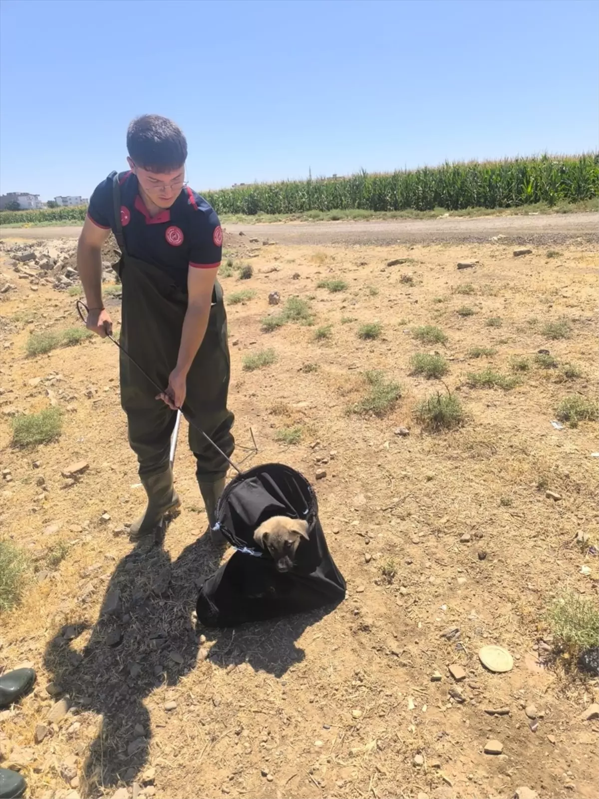 Batman'da Sulama Kanalına Düşen Köpek Yavrusu Kurtarıldı