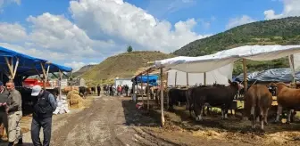 Bayat'ta Kurban Pazarı Hareketliliği Devam Ediyor