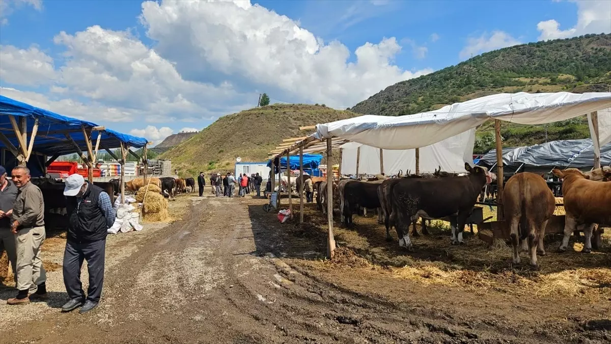 Bayat'ta Kurban Pazarı Hareketliliği Devam Ediyor