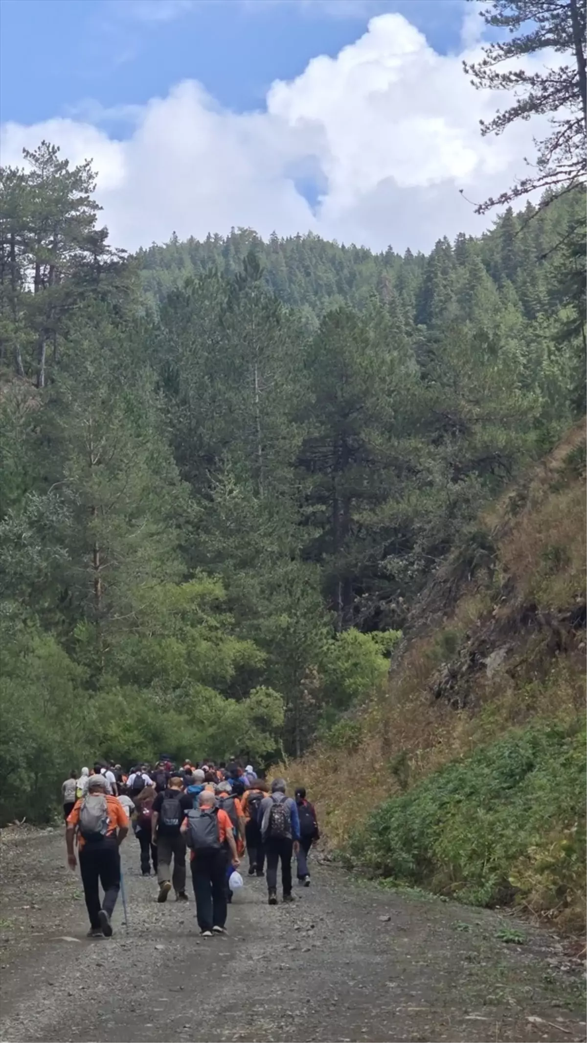 Bayat'ta Doğa Yürüyüşü Etkinliği Düzenlendi