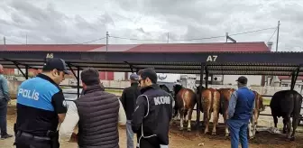 Bayburt'ta Polis Ekipleri Hayvan Pazarında Sahte Para Uyarısı Yaptı