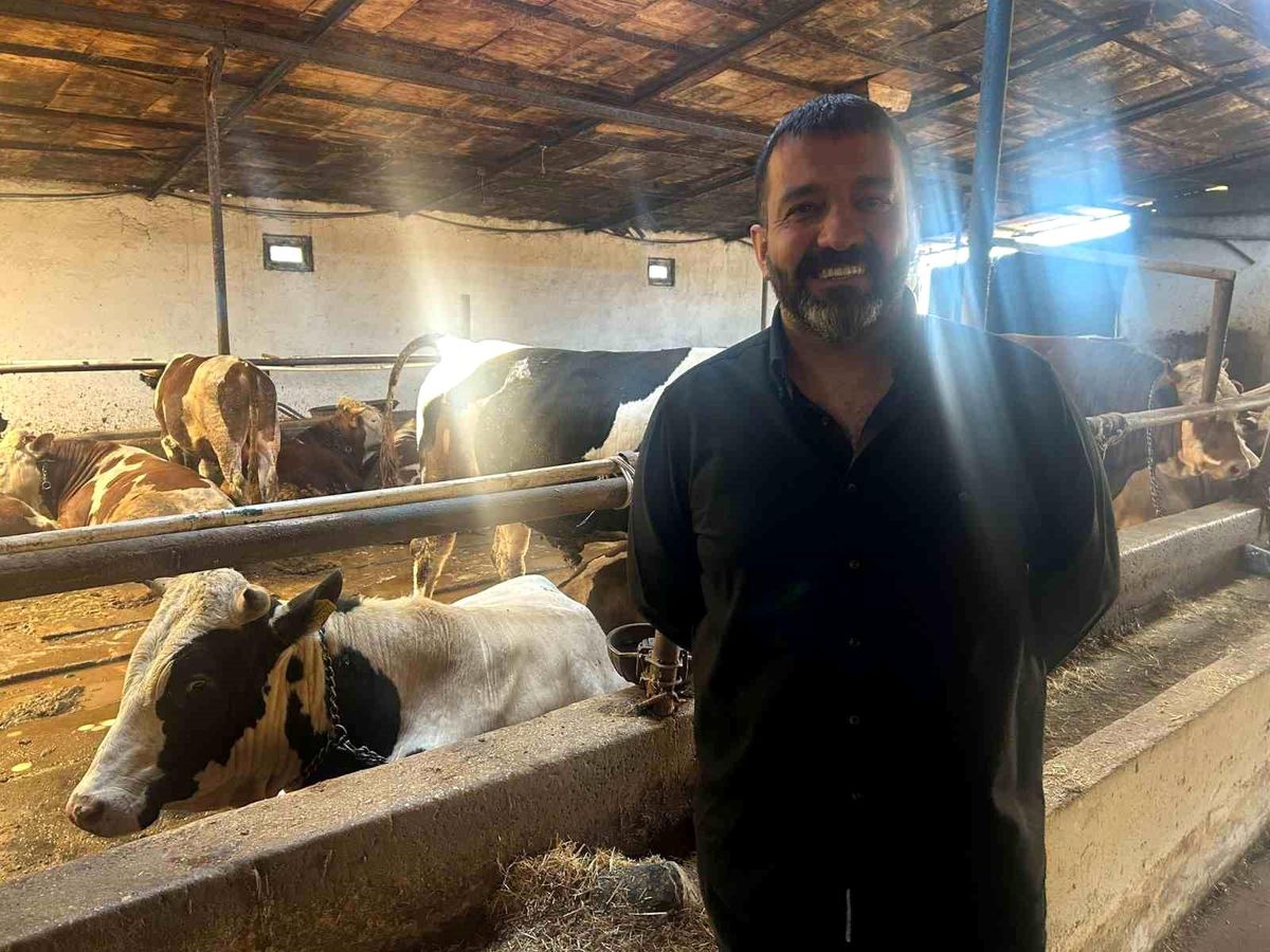 Eskişehir'de Kurbanlık Hayvan Fiyatları Geçen Yıl ile Aynı