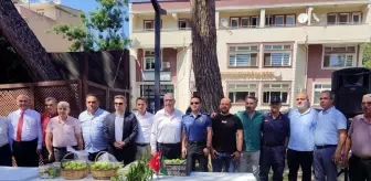 Bayramiç Beyazı Meyvesinin Hasat Töreni Yapıldı