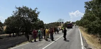 Çanakkale'de Yangın: 15 Dönüm Tarım Alanı Zarar Gördü