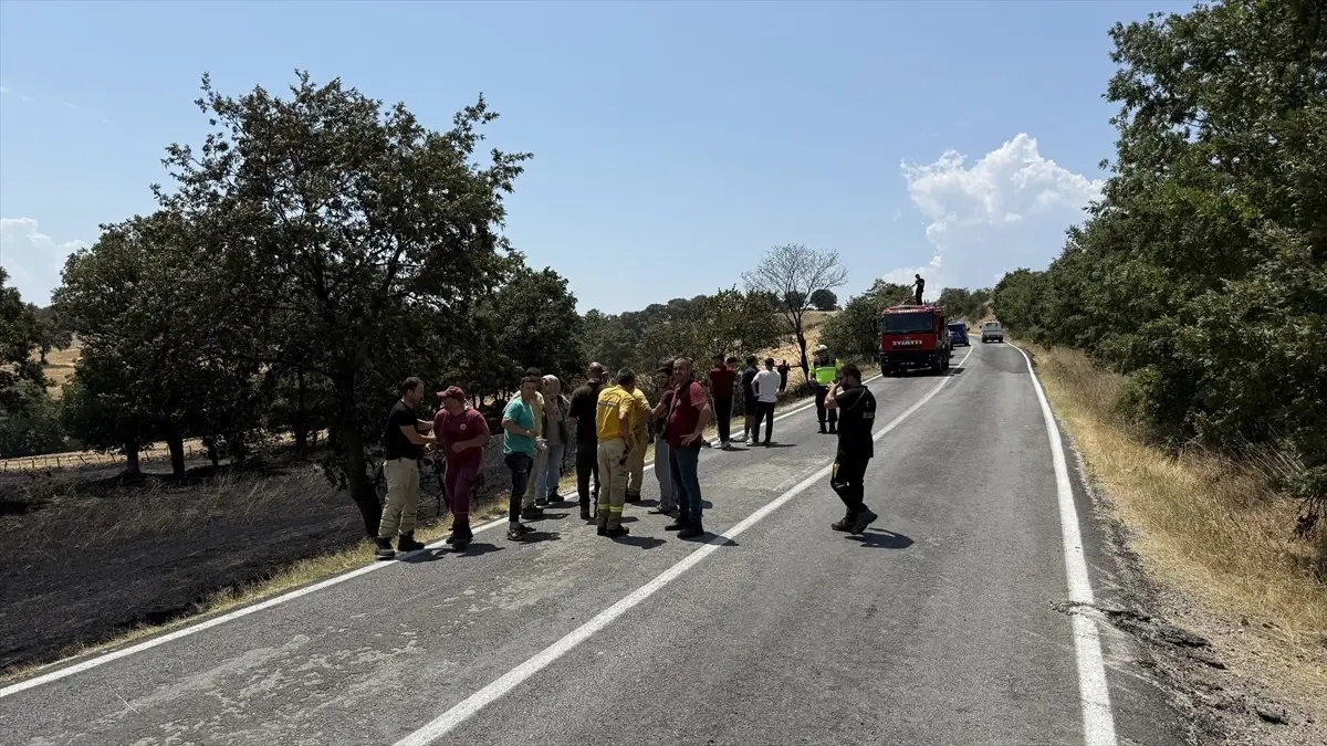Çanakkale'de Yangın: 15 Dönüm Tarım Alanı Zarar Gördü