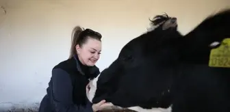Belçika'dan Kırklareli'ye Göç Eden Çift, Hayvancılıkla Yeni Hayat Kurdu