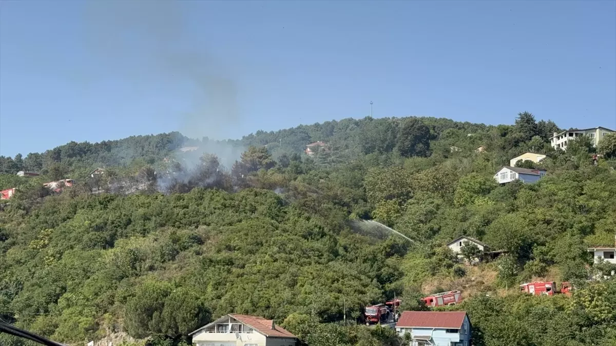 Beykoz'da Orman Yangını Kontrol Altına Alındı