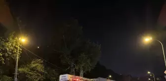 Beykoz'da Ormanlık Alanda Yangın Söndürüldü