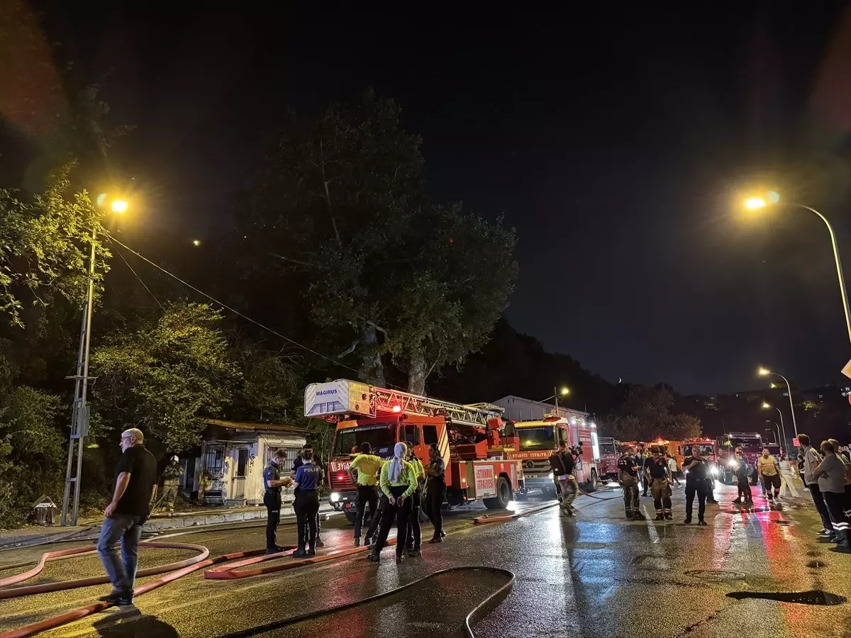 Beykoz'da Ormanlık Alanda Yangın Söndürüldü
