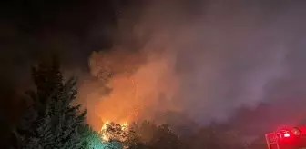 Beykoz'da Orman Yangınına İtfaiye Müdahalesi