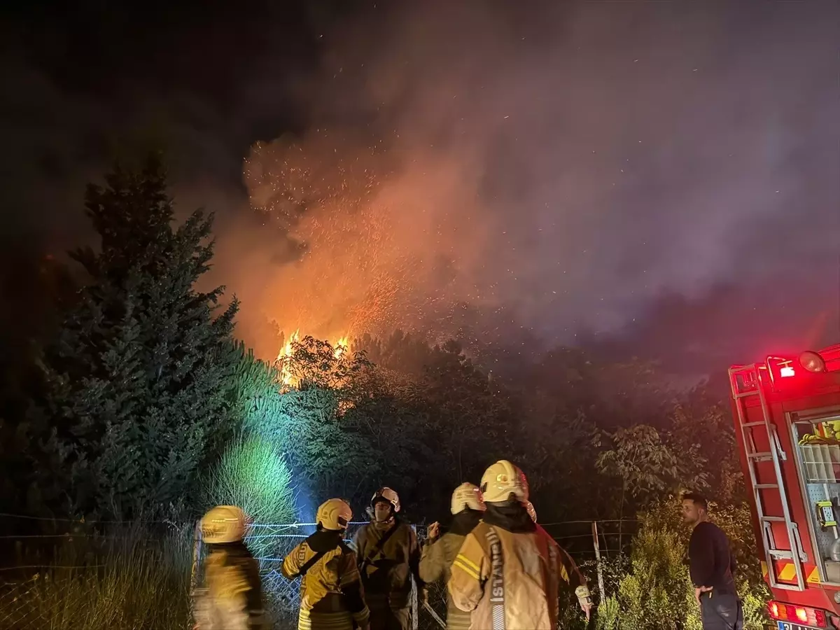 Beykoz'da Orman Yangınına İtfaiye Müdahalesi