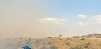 Eskişehir'de Tarım Arazilerindeki Yangın Söndürüldü