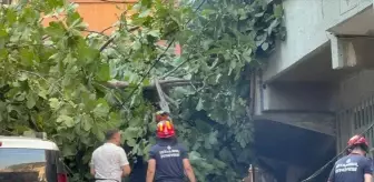 Beyoğlu'nda Devrilen Ağaçlar Park Halindeki Araçlara Zarar Verdi