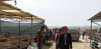 Beypazarı Kaymakamı Vedat Yılmaz, Hayvan Pazarını Ziyaret Etti