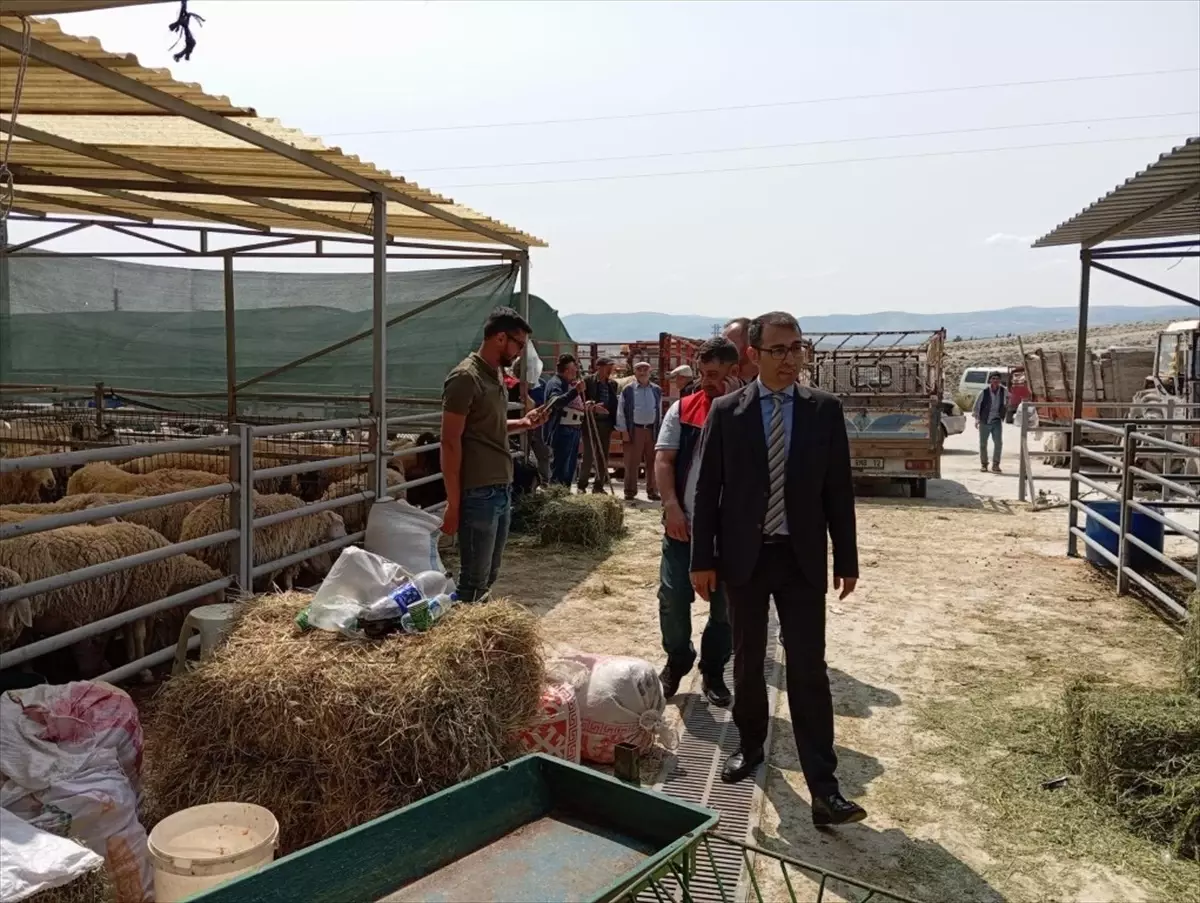 Beypazarı Kaymakamı Vedat Yılmaz, Hayvan Pazarını Ziyaret Etti
