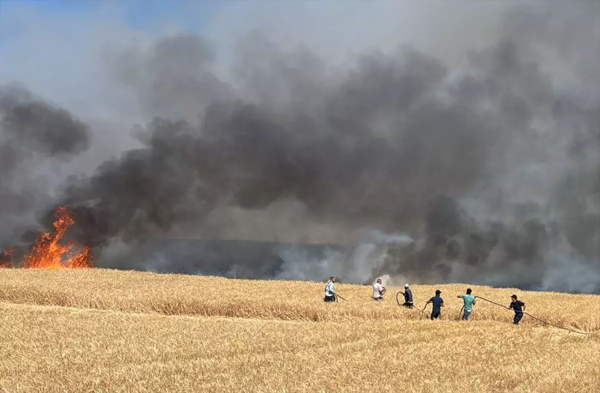 Beypazarı'nda Buğday Tarlasındaki Yangın Kontrol Altına Alındı