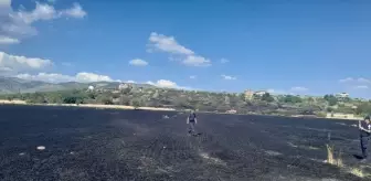 Beypazarı'nda Buğday Tarlasındaki Yangın Kontrol Altına Alındı